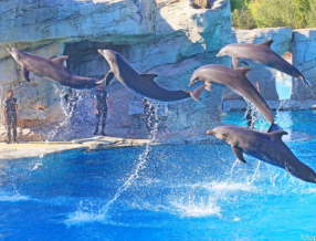 Kupon: NEPOZABEN VIKEND poln zabave in adrenalina - kar DVA PARKA v DVEH DNEH!